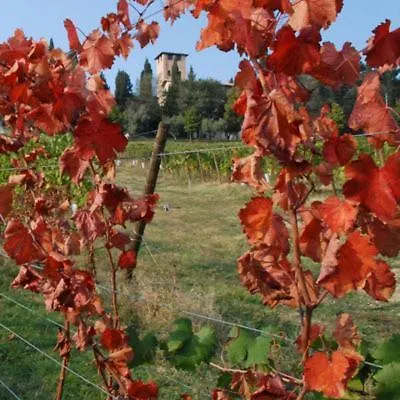 Casa di campagna Relais Sant'isidoro *